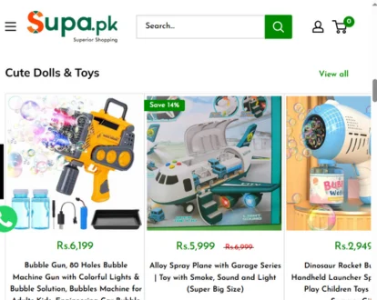 Professional E-commerce Website Development