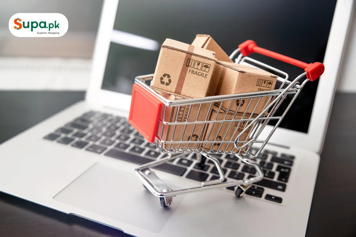 Professional E-commerce Website Development