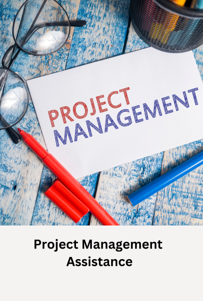Project Management Assistance
